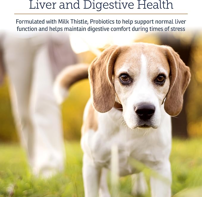 Rx Vitamins Onco Support - Dog & Cat Immune Support Supplement with Milk Thistle, Spirulina, Kelp Powder - Aids in Gut Health and Digestive Support - 300g
