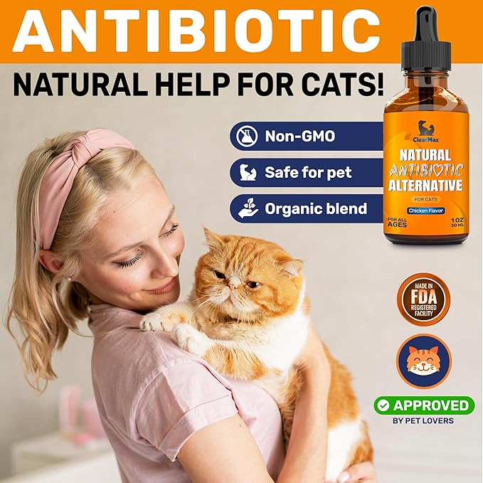 Cat Antibiotic to Help with Cough & Allergies – Antibiotics for Cats to Aid with UTIs and Digestive Moments – HIPS & Joints Support – Attractive Chicken Taste – 1 Oz Bottle