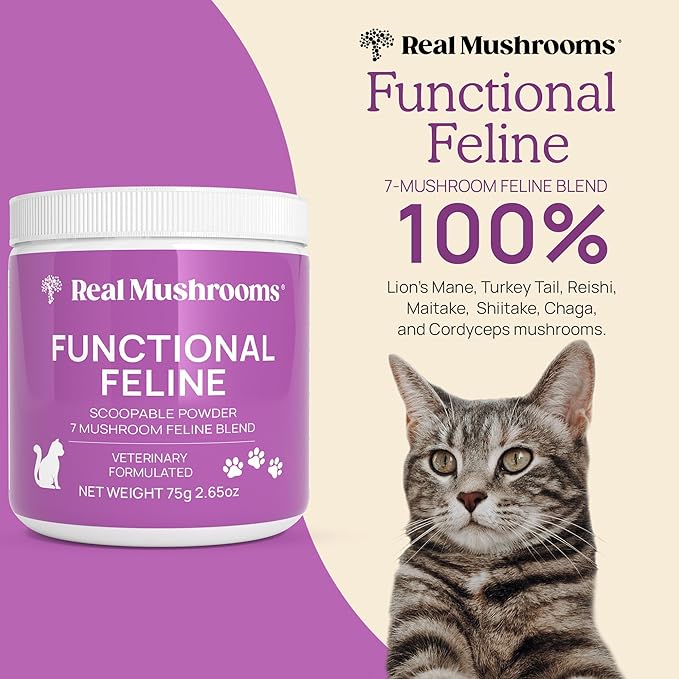 Real Mushrooms Cat Supplement Powder – Organic Mushroom Blend with Antarctic Krill & Ashwagandha – Cat Vitamins for Older Cats or Kittens – 2.65 oz Functional Feline Formula