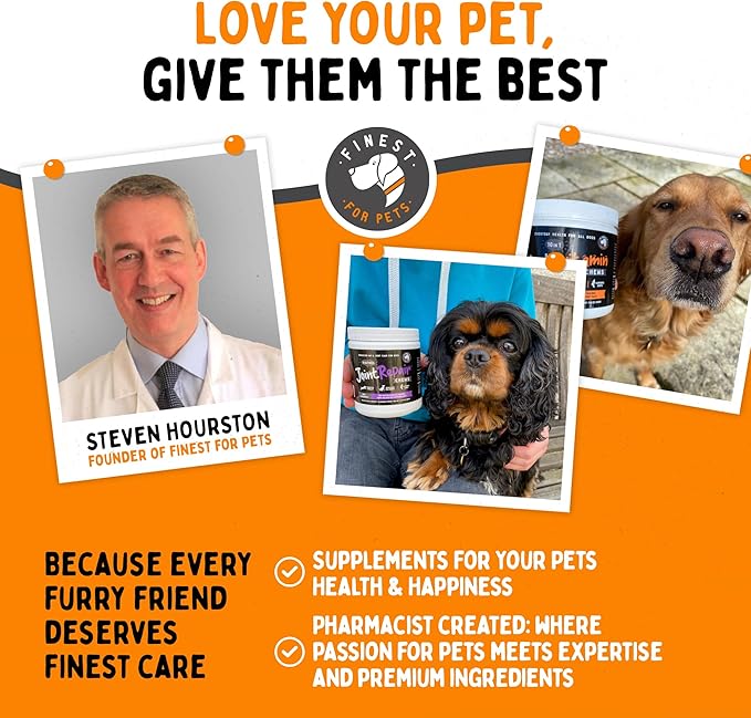 Multivitamin Dog Supplement – 10 in 1 with Omega Fish Oil & Glucosamine for Improved Joint & Skin Support, Gut, Digestion & Immune Everyday Health (120 Chewable Treats)