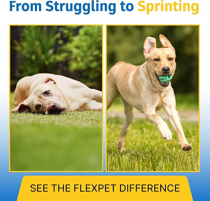 Hip & Joint Supplement for Dogs & Cats with Cetyl Myristoleate, Glucosamine, Collagen, MSM - Advanced Joint Support for Mobility, Senior Pets, Small & Large Breeds - 60 Chews (Pork Liver)