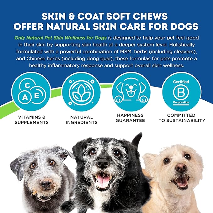 Only Natural Pet Skin Wellness Soft Chew 60 Count