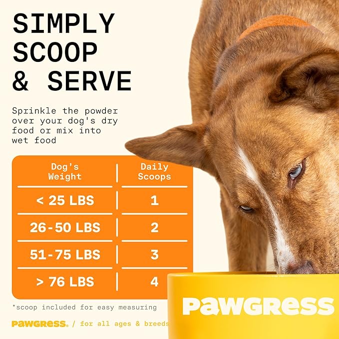 5-in-1 Dog Probiotic Powder – 100% Natural Gut Health Support with Prebiotics, Postbiotics & Enzymes – Crafted by Dog Nutritionist Kayla Kowalski, Made in USA – 30 Scoops