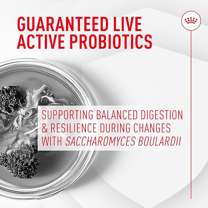 Royal Canin Probiotics for Dogs Digestive and Immune Health Powder Supplement for Canines of All Ages, 30 Count