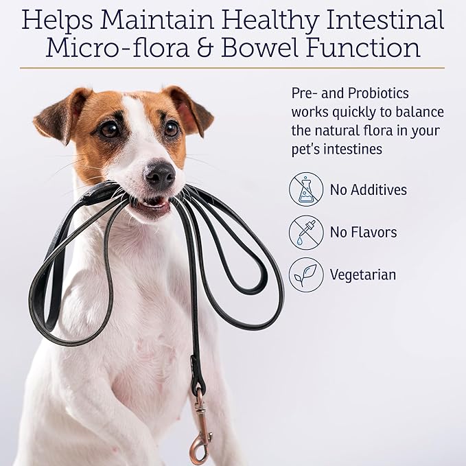 Rx Vitamins Rx Biotic - Probiotic Powder for Dogs and Cats - Cat Digestive Support & Probiotic for Dogs Gut Health - Dog Probiotics for Digestive Health - 1.25oz