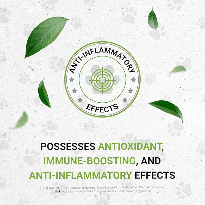 Lion's Respiratory | Natural Herbal Dietary Supplement for Cats | Healthy Respiratory System Support in Cats | Alcohol-Free Extract, Linden, Elder Flowers, Chamomile, Peppermint, Fennel 2 oz