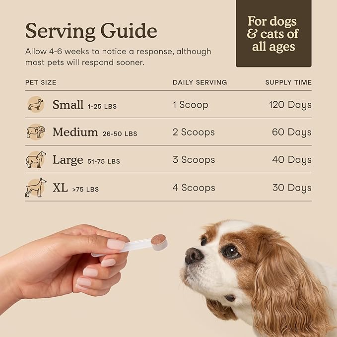 Fera Pets Mushroom Supplement for Dogs & Cats with Turkey Tail - USDA Organic - Cognitive and Immune Support - Enhances Liver Function - Supports a Healthy Gut - Powder - 120 Scoops