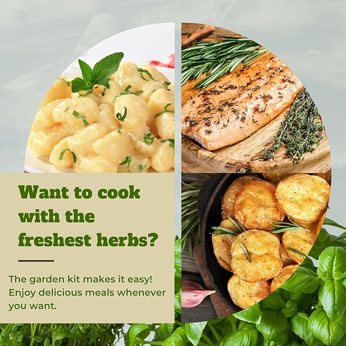 10 Indoor Herb Garden Kit- Burlap Pots, Organic Seeds, Herb Garden Planter Indoor Kit, Easy Window & Kitchen Herbs Growing Kit, Cilantro, Basil, Sage, Oregano, Parsley, Dill, Chives etc.