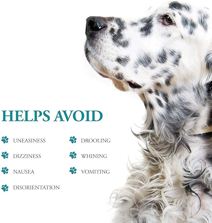 Anti-Motion Sickness and Nausea Relief for Small Breed Dogs, Relief for Disorientation and Dizziness, 10 Tablets
