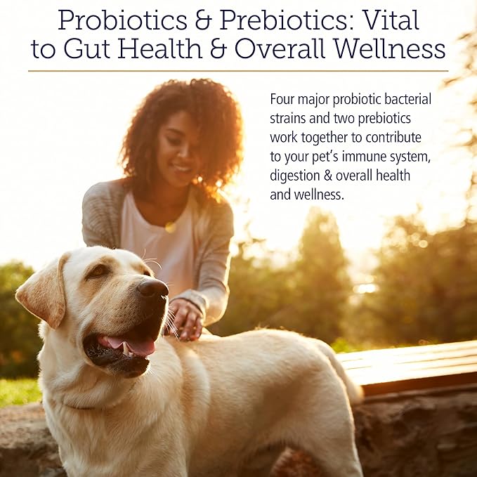 Rx Vitamins Rx Biotic - Probiotic Powder for Dogs and Cats - Cat Digestive Support & Probiotic for Dogs Gut Health - Dog Probiotics for Digestive Health - 2.12oz