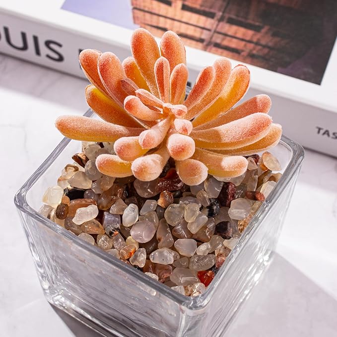 0.5 Lb/230g White Agate Crystal Pebbles Stones Aquarium Gravel Rocks, Natural Landscaping Pebbles Decorative Vase Filler Tumbled Crushed Stones for Fish Tank|Garden|Home, 5-7mm