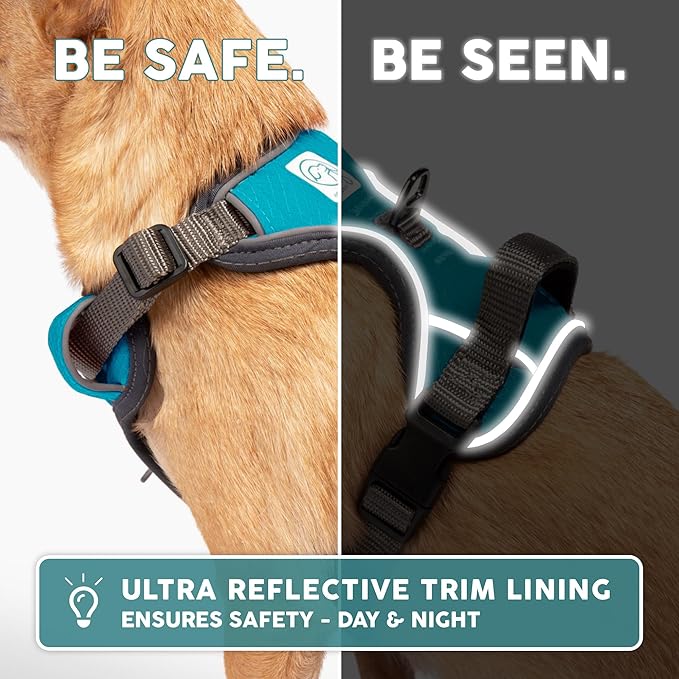 Embark Adventure Dog Harness, Reflective Trim No Pull Dog Harness for Large Dogs - Military Grade Nylon, Front Clip with Gel Lined Handle.