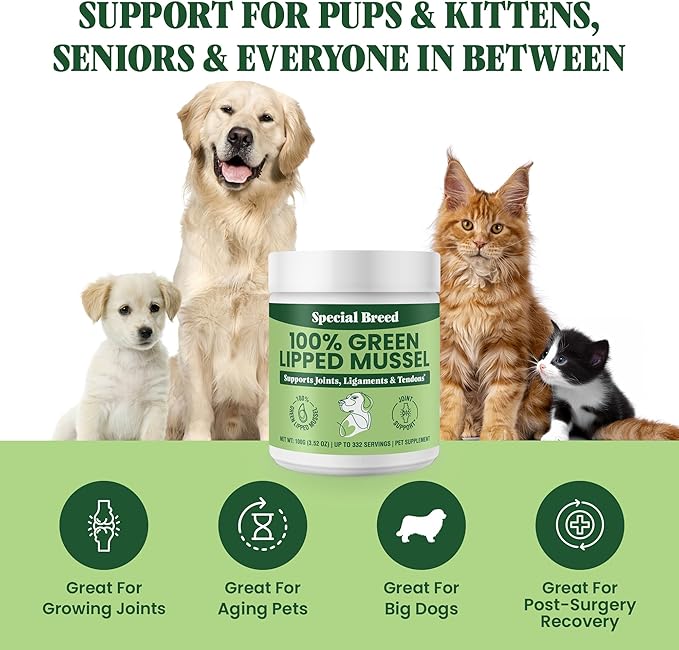 Special Breed Green Lipped Mussel Powder for Dogs & Cats - 100% New Zealand - Natural Hip & Joint Supplement for Joints, Tendons, Ligaments, Muscles - 100 Grams - Up to 332 Servings