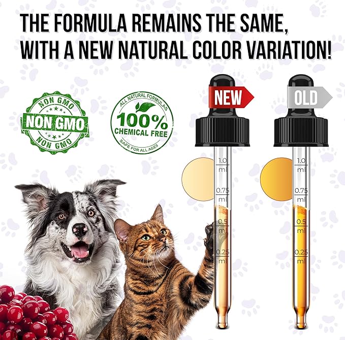 Liquid Multivitamin for Dogs – Daily Glucosamine, Vitamin B, C & D3 Support – Cat Vitamins for Indoor Cats to Care for Joints & HIPS, Skin & Coat, and Gut – Help with Allergies & UTIs – 2 Oz