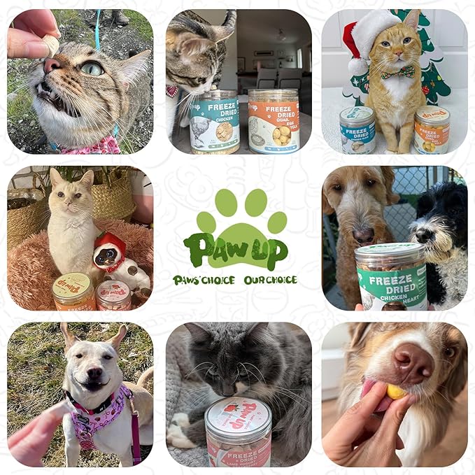 Freeze Dried Chicken for Dogs Cats, High Protein Raw Dog Food Topper, Single Fresh Ingredient Treats, 4.6oz, Rawhide Free