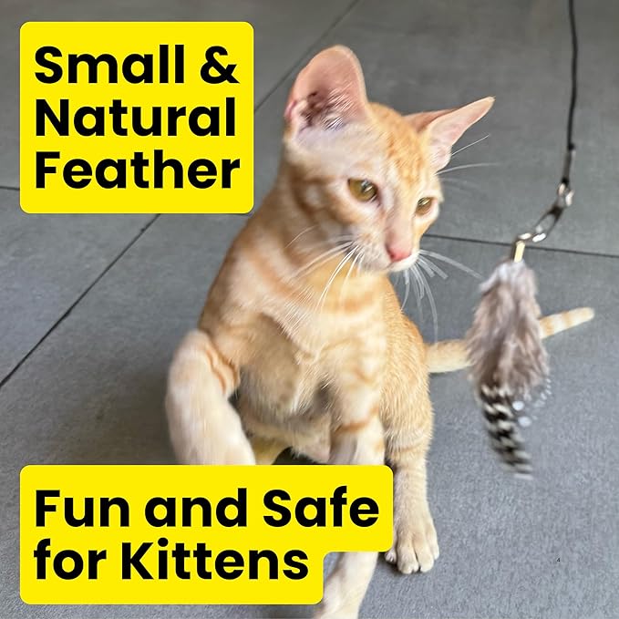 Feather Toys Replacements (3 Pc) - Cat Toys & Kitten Toys for Indoor Kittens, Set of Replacement Feather Attachments Extra Small and Durable, for Cat Wands, Natural and Safe