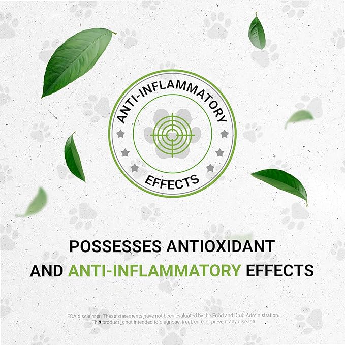 Lion's Heart | Natural Herbal Dietary Supplement for Cats | Healthy Heart Function Support in Cats | Alcohol-Free Extract, Dandelion Root, Lemon Balm, Calendula, Lavender, Fennel 2 oz