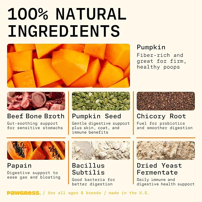 5-in-1 Dog Probiotic Powder – 100% Natural Gut Health Support with Prebiotics, Postbiotics & Enzymes – Crafted by Dog Nutritionist Kayla Kowalski, Made in USA – 30 Scoops