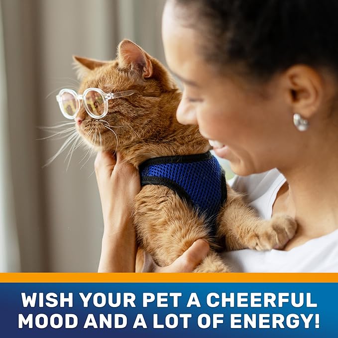 Liquid Probiotics for Dogs and Cats – 6 Billion CFU Pet Digestive Support – Dog Probiotics with Enzymes – Cat Probiotic Supplement – 2-oz Bottle