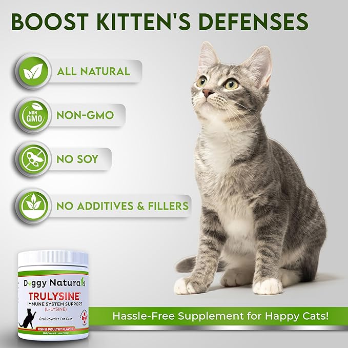 Trulysine L-Lysine for Cats Immune Support Oral Powder 4oz/100g - Cats & Kittens of All Age, Sneezing, Runny Nose Squinting, Watery Eyes - Fish & Poultry Flavor (U.S.A)(100 Grams ( 500mg / Scoop))