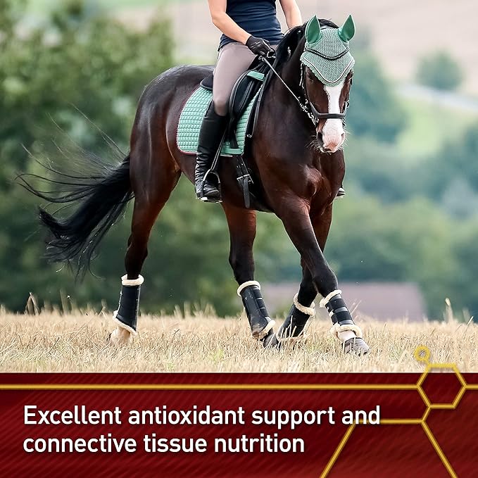 Pro Pure C Premium Quality Horse Vitamin C, 2 Pounds, 128-Day Supply