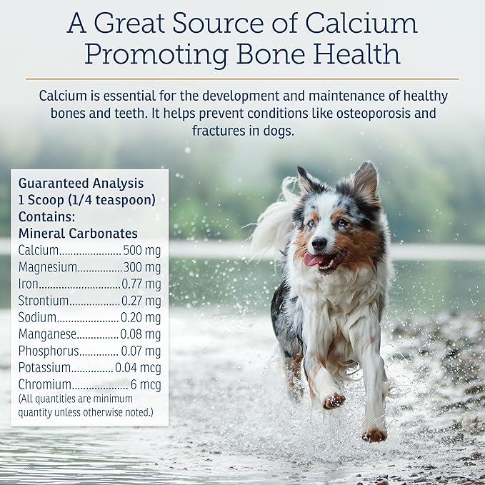 Rx Vitamins Canine Minerals - Essential Minerals for Dogs - Calcium, Magnesium, Iron Supplement, Bone and Joint Supplement for K9, Immune Support - 16oz