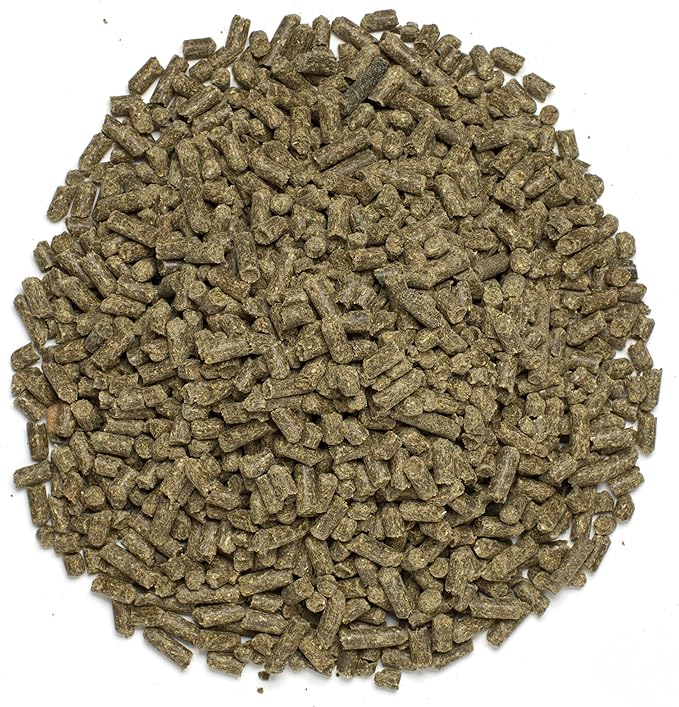 SmartVite Perform Senior Pellets | Vitamin E, Magnesium Supplement for Senior Horses | Includes Vitamin C, B Complex, Manganese, Biotin and More | 56 Servings | 12.5 lb Bucket