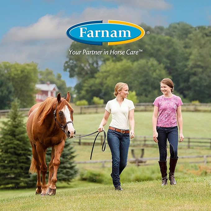 Farnam Endure Sweat-Resistant Fly Spray for Horses, Protects Against Lyme Disease, 15 oz