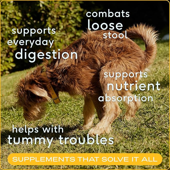 Native Pet Omega Oil for Dogs & Pumpkin for Dogs | Dog Fish Oil Supplements | All-Natural, Organic Pumpkin Fiber for Dogs | 8 Oz. Omega Oil & Pumpkin Powder