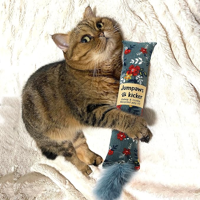 2 Pack Natural Interactive Catnip & Silvervine Cat Kicker with Feathers, Bite Resistant Chew Toy, Crinkle Kicker, Accessories for Indoor Cat, Premium Corduroy Floral