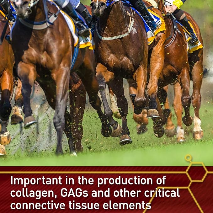 Pro Pure C Premium Quality Horse Vitamin C, 2 Pounds, 128-Day Supply