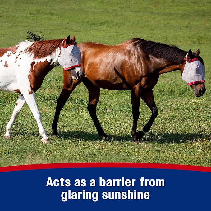 Farnam SuperMask II horse fly mask without ears, extended coverage, protects eyes from insects and debris, adjustable throat latch, Average Horse Size