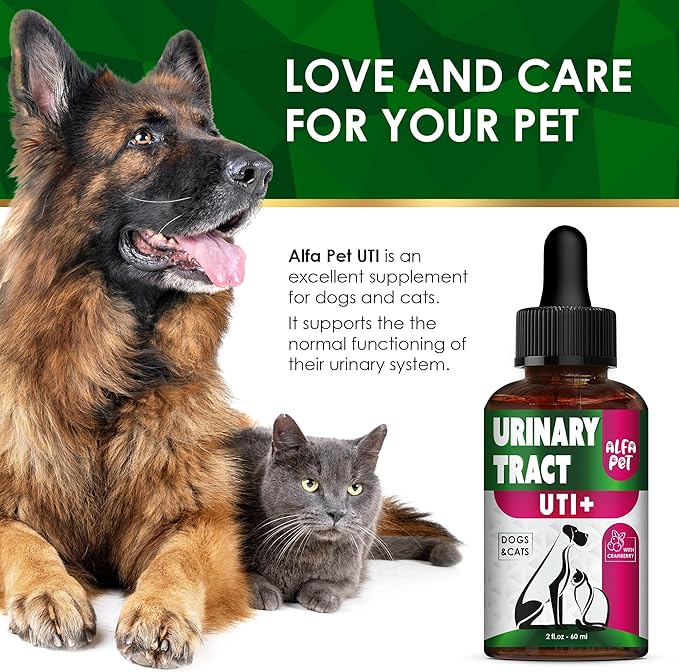 Сat Urinary Tract Infection Treatment with Cranberry – Dog UTI Treatment to Care for Bladder – Cat UTI Treatment for Kidneys – Preventive Support for Renal Health in Drops – 2 Oz