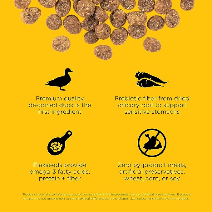 Go! Solutions Sensitivities Limited Ingredient, Grain-Free Dry Cat Food, Duck Recipe for Sensitive Stomach, 8 lb Bag