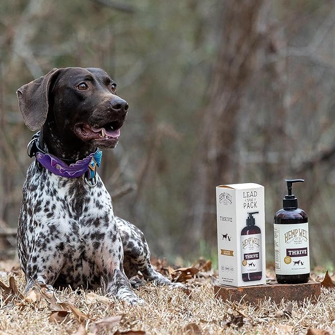 Hemp Well Thrive Oil for Dogs and Cats – Supports Hip, Joint, and Heart Health, Promotes Immune Support, Strengthens Skin and Coat, Organically Sourced – 2 Ounces