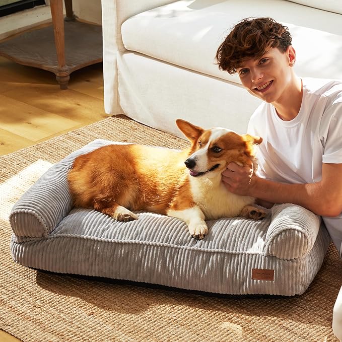 FUKUMARU Cute Dog Bed, Fluffy Dogs Couch with TPU Layer Keeping Lining Dry, Pet Sofa Medium Size Dog Easy to Care, Warm Cat Bed with Removable Zipper Cover, 36inch, Large, Light Grey