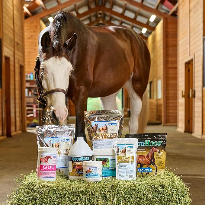 Uckele by SmartEquine CocoHoof | Hoof Supplements for Horses | Biotin for Horses Hooves | Horse Vitamins and Minerals Supplement | Provides Amino Acids, Fatty Acids and Vitamins | 12 LB