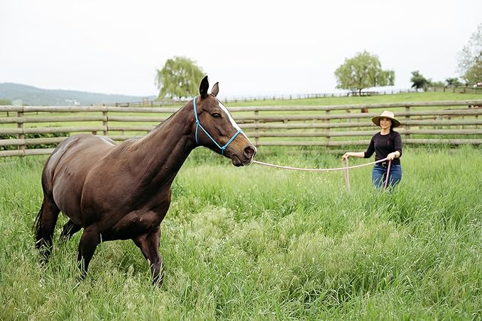 22' Long Line with SS O Ring and Carabiner (Blue)