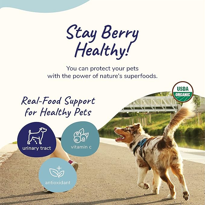 kin+kind Dog Supplement Powder - Supplement for Dogs & Cats for Healthy Immunity - Bladder Support - Natural Formula with Organic Cranberry, Blueberry and Coconut - Made in USA - Bundle (3 x 4 oz)
