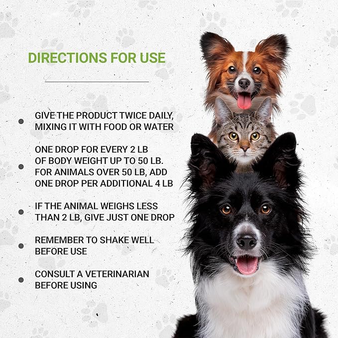 Lion's Blood Pressure | Natural Herbal Dietary Supplement for Cats | Healthy Blood Pressure Support in Cats | Alcohol-Free Extract, Dandelion Root, Lemon Balm, Calendula, Lavender, Fennel 2 oz