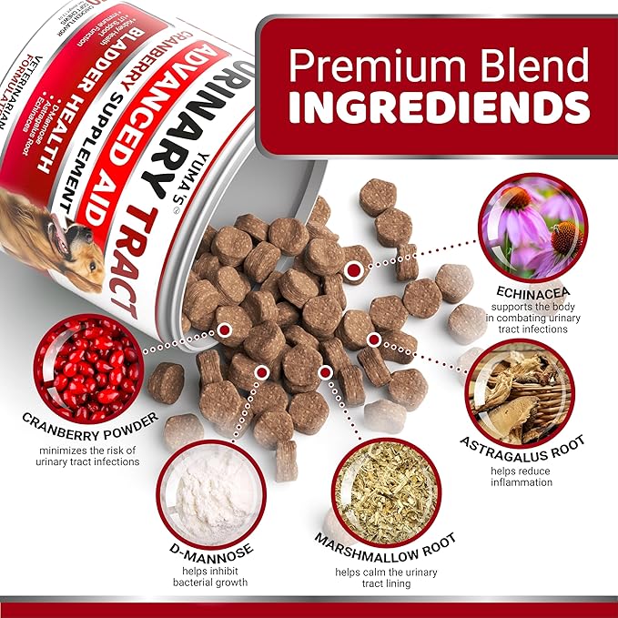 Dog UTI Treatment - 170 Treats - Cranberry Supplement for Dogs - Bladder Control - Urinary Tract Infection Treatment - UTI Medicine Multivitamin - Vitamins and Supplements - Made in USA