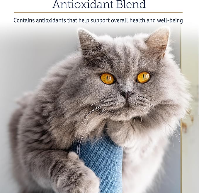 Rx Vitamins Onco Support - Dog & Cat Immune Support Supplement with Milk Thistle, Spirulina, Kelp Powder - Aids in Gut Health and Digestive Support - 300g