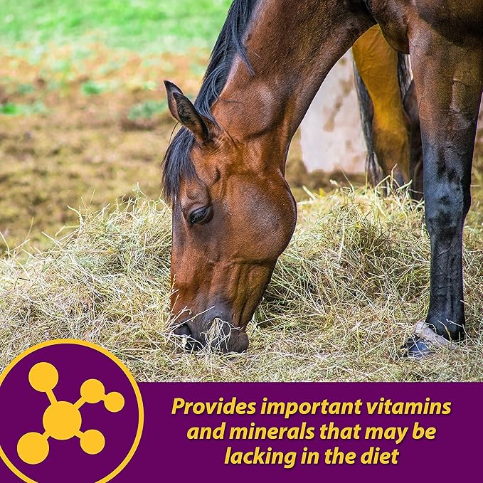 Farnam Horse Health Red Cell Pellets, Vitamin-Iron-Mineral Supplement for Horses, Helps Fill Important Nutritional Gaps in Horse's Diet, 4 lbs., 64-Day Supply